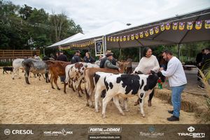 8&ordm; Igrejinha Mix (Domingo)