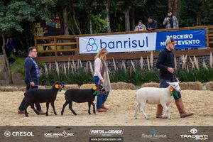 8&ordm; Igrejinha Mix (Domingo)