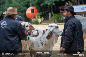 8&ordm; Igrejinha Mix (Domingo)