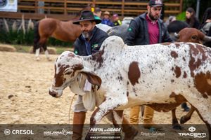 8&ordm; Igrejinha Mix (Domingo)