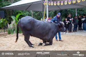 8&ordm; Igrejinha Mix (Domingo)