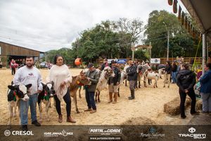 8&ordm; Igrejinha Mix (Domingo)
