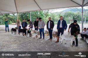 8&ordm; Igrejinha Mix (Domingo)