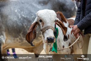 8&ordm; Igrejinha Mix (Domingo)