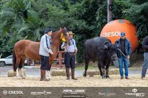 8&ordm; Igrejinha Mix (Domingo)