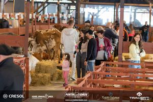 8&ordm; Igrejinha Mix (Domingo)