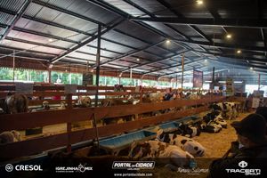 8&ordm; Igrejinha Mix (Domingo)