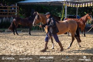 8&ordm; Igrejinha Mix (S&aacute;bado)