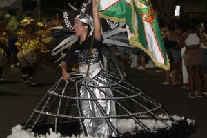Carnaval de Jacarezinho
