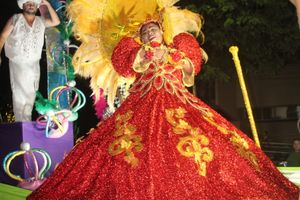Carnaval de Jacarezinho