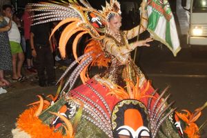 Carnaval de Jacarezinho