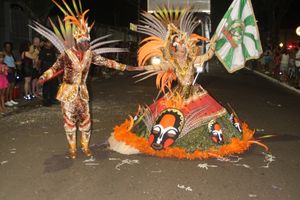 Carnaval de Jacarezinho