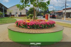 Passeio de trem tur&iacute;stico 