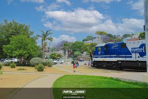Passeio de trem tur&iacute;stico 