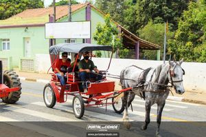 Passeio de trem tur&iacute;stico 