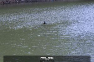 Dia das Crian&ccedil;as no Parque Monterrey 