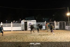 Festa de Monsenhor Horta 2019