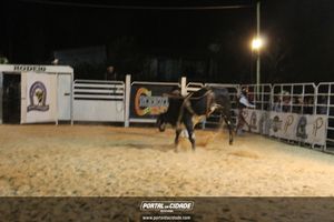 Festa de Monsenhor Horta 2019