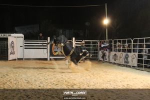 Festa de Monsenhor Horta 2019