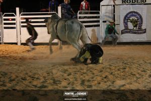 Festa de Monsenhor Horta 2019