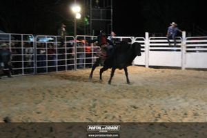 Festa de Monsenhor Horta 2019