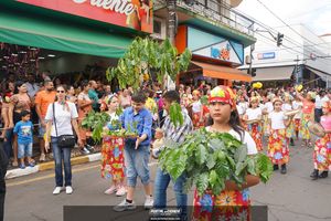 Desfile C&iacute;vico Mogi Mirim 2022