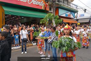 Desfile C&iacute;vico Mogi Mirim 2022