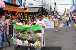 Desfile C&iacute;vico Mogi Mirim 2022