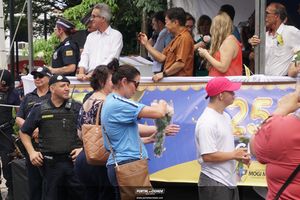 Desfile C&iacute;vico Mogi Mirim 2022