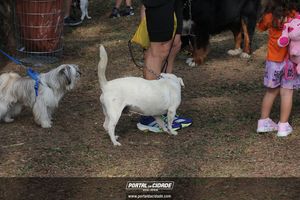 CIRCUITO ECO 