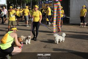 CIRCUITO ECO 
