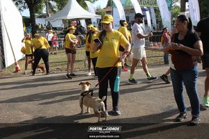 CIRCUITO ECO 