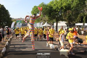 CIRCUITO ECO 