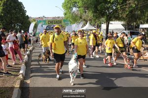 CIRCUITO ECO 