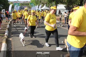 CIRCUITO ECO 