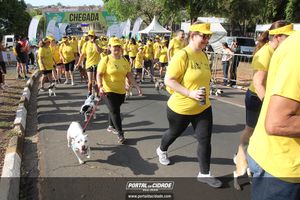 CIRCUITO ECO 