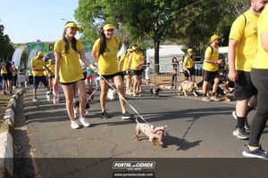 CIRCUITO ECO 