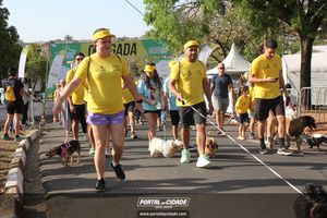 CIRCUITO ECO 
