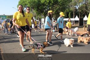 CIRCUITO ECO 