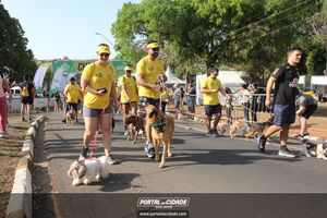 CIRCUITO ECO 
