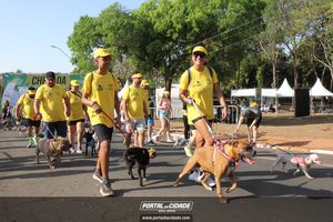 CIRCUITO ECO 
