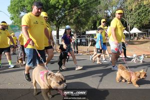 CIRCUITO ECO 