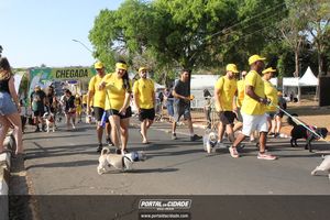 CIRCUITO ECO 