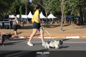 CIRCUITO ECO 