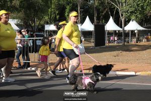 CIRCUITO ECO 