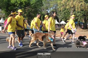CIRCUITO ECO 
