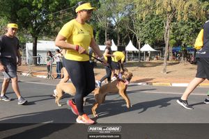 CIRCUITO ECO 