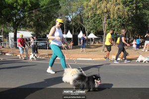 CIRCUITO ECO 