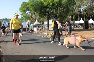 CIRCUITO ECO 