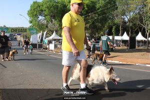 CIRCUITO ECO 